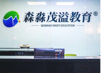 上海意大利语培训班费用全解析及艺术教育信息咨询服务指南