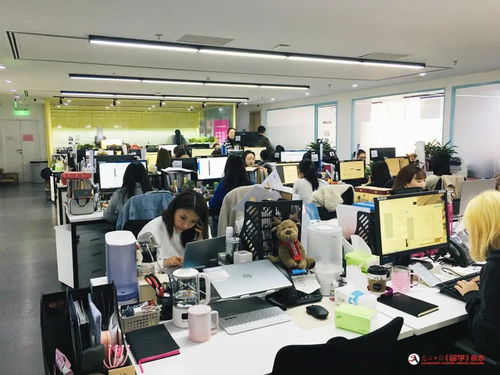 名企探营第二站 新东方体系下的斯芬克国际艺术教育——引领未来艺术留学的专业指南