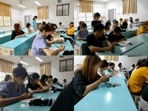 廉洁润初心 艺术育清风——人文艺术学院党委教育学生第二党支部开展廉洁文化学习暨艺术教育信息咨询服务